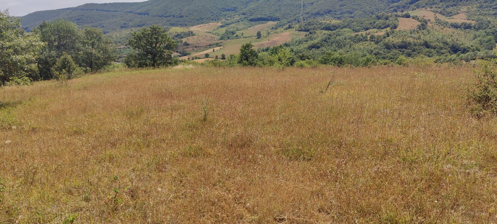 "GEBMASTER" den Hendek Mükemmel Konumda Satılık Tarla