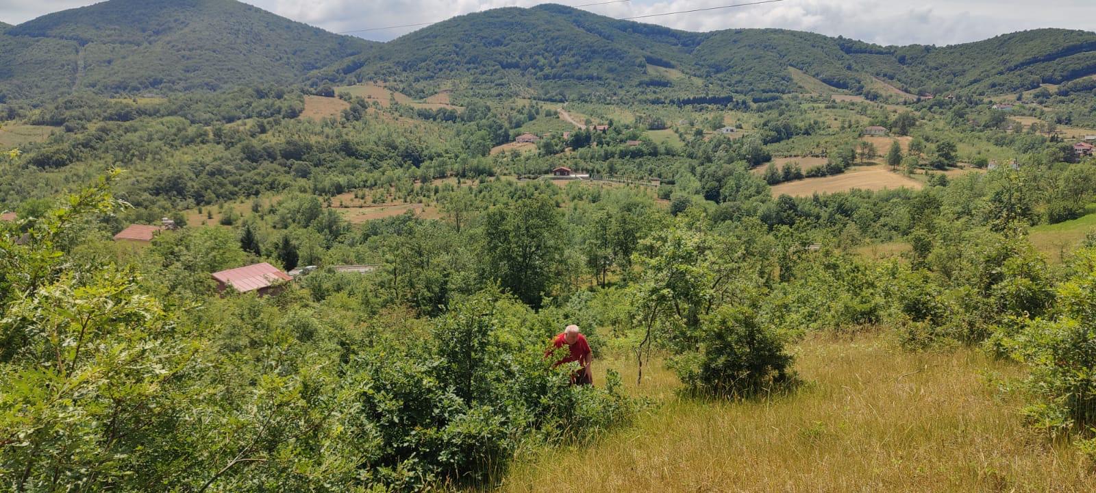 "GEBMASTER" den Hendek Mükemmel Konumda Satılık Tarla