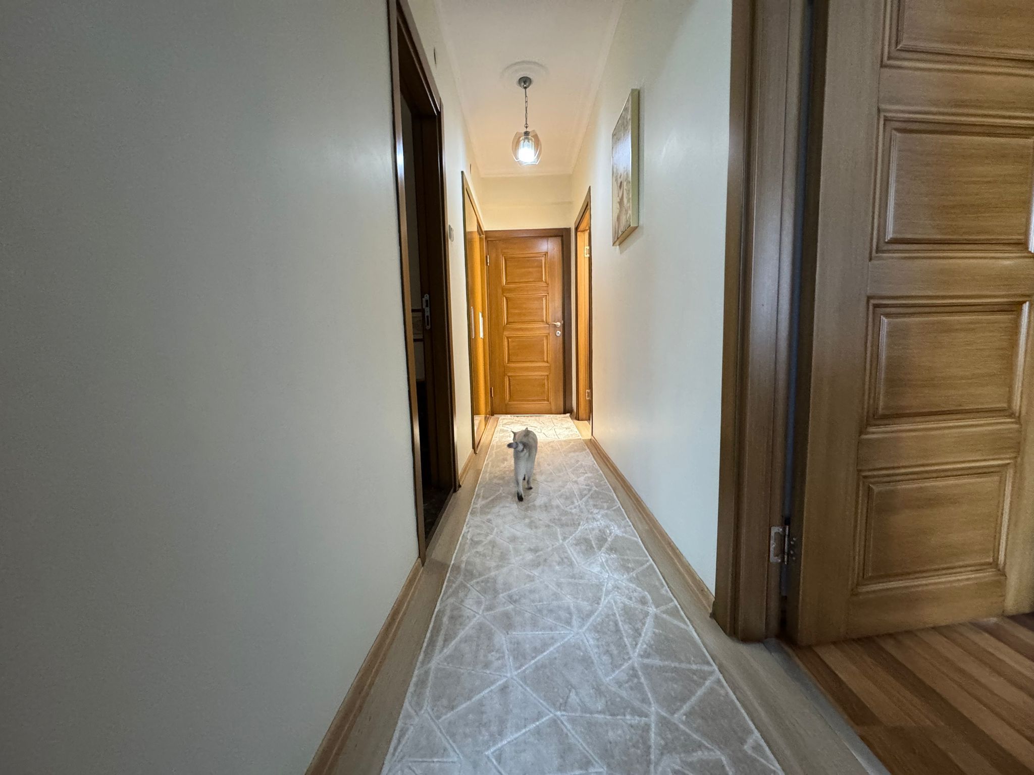 GEBMASTER'dan FİYAT DÜŞTÜ HARİKA KONUM, 60 EVLERDE SATILIK DAİRE