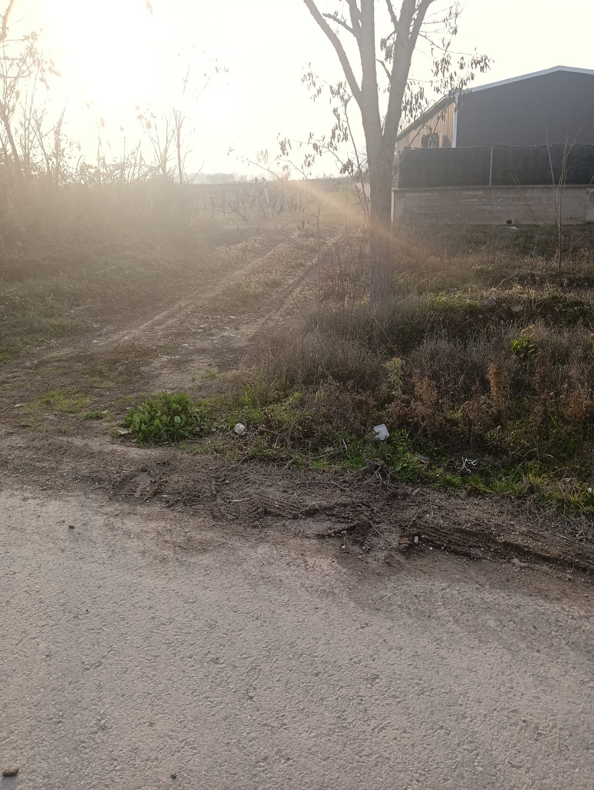 GEBMASTER'DAN PAMUKOVA FEVZİYE'DE MÜKEMMEL KONUMDA KUPON ÜZÜM BAĞI