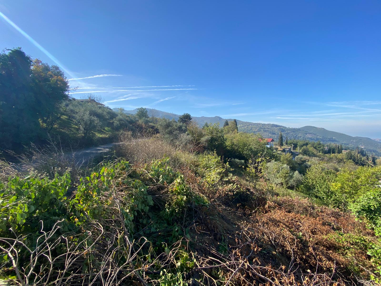 GEBMASTER'DAN GÖLCÜK ULAŞLI'DA VİLLAYA UYGUN SONSUZ DENİZ MANZARALI ARSA