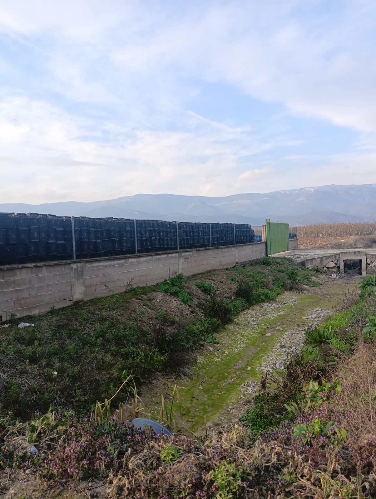 GEBMASTER'DAN PAMUKOVA FEVZİYE'DE MÜKEMMEL KONUMDA KUPON ÜZÜM BAĞI