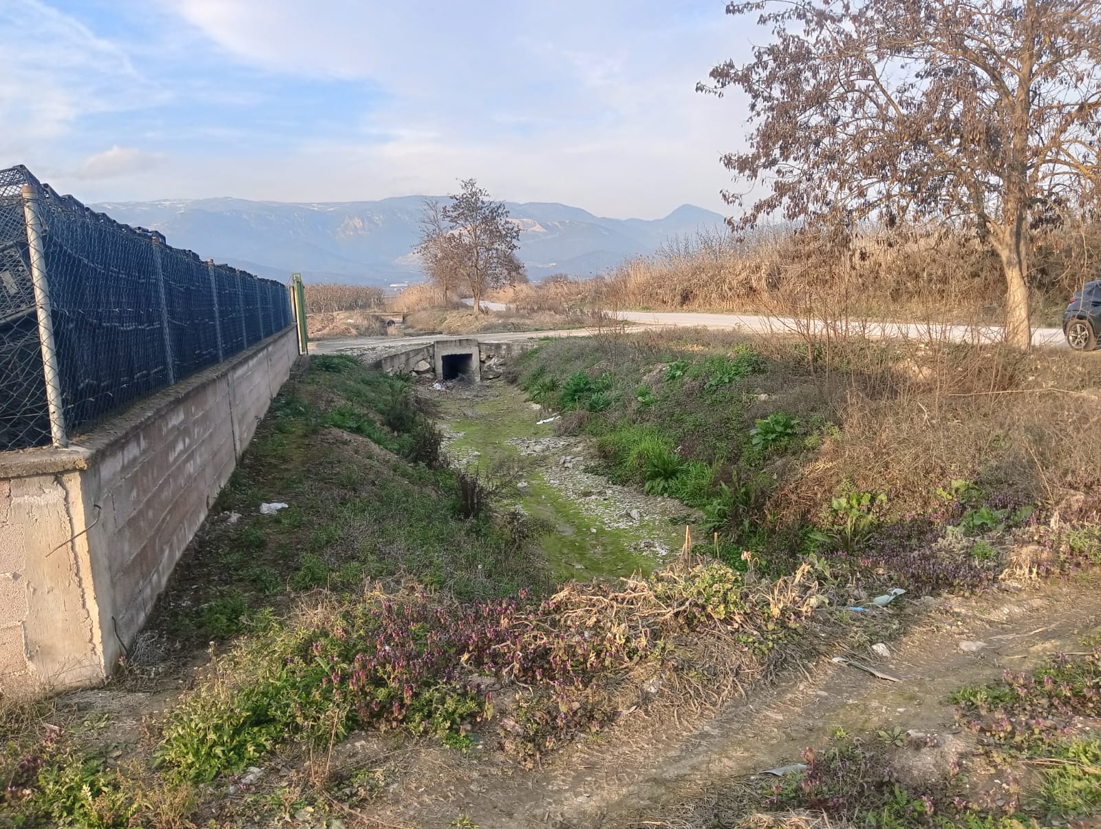 GEBMASTER'DAN PAMUKOVA FEVZİYE'DE MÜKEMMEL KONUMDA KUPON ÜZÜM BAĞI