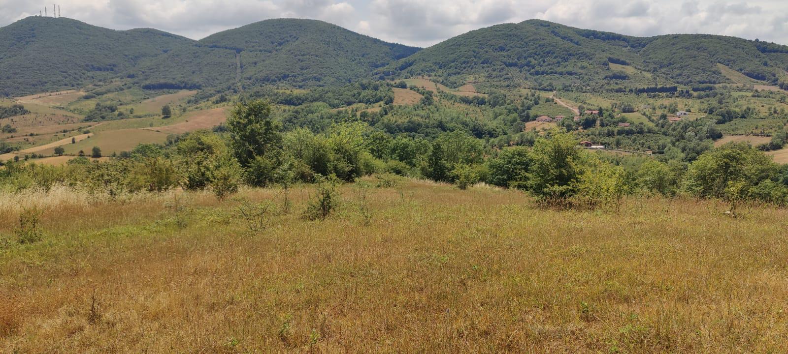 "GEBMASTER" den Hendek Mükemmel Konumda Satılık Tarla