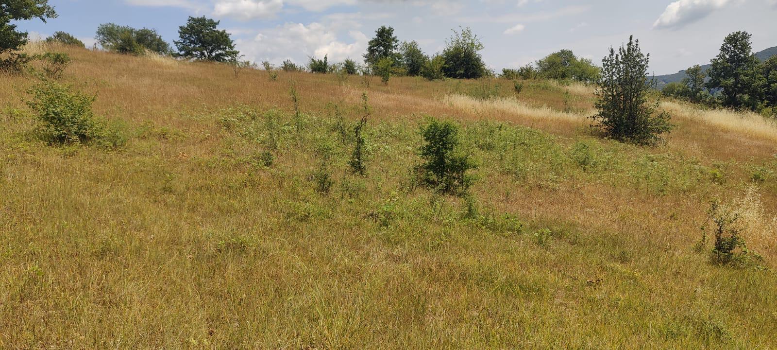 "GEBMASTER" den Hendek Mükemmel Konumda Satılık Tarla