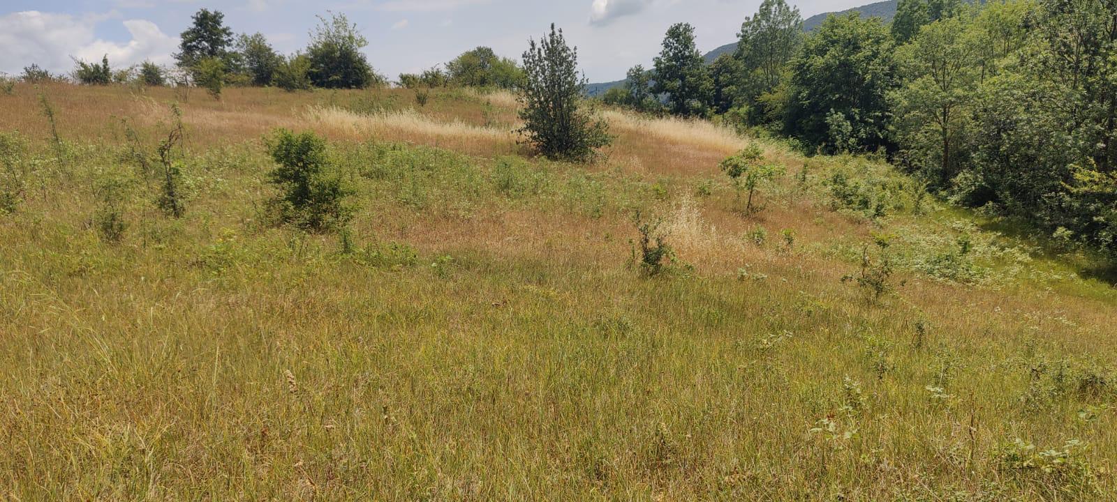 "GEBMASTER" den Hendek Mükemmel Konumda Satılık Tarla