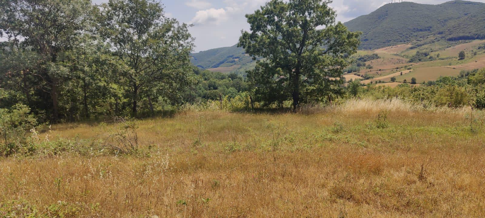 "GEBMASTER" den Hendek Mükemmel Konumda Satılık Tarla