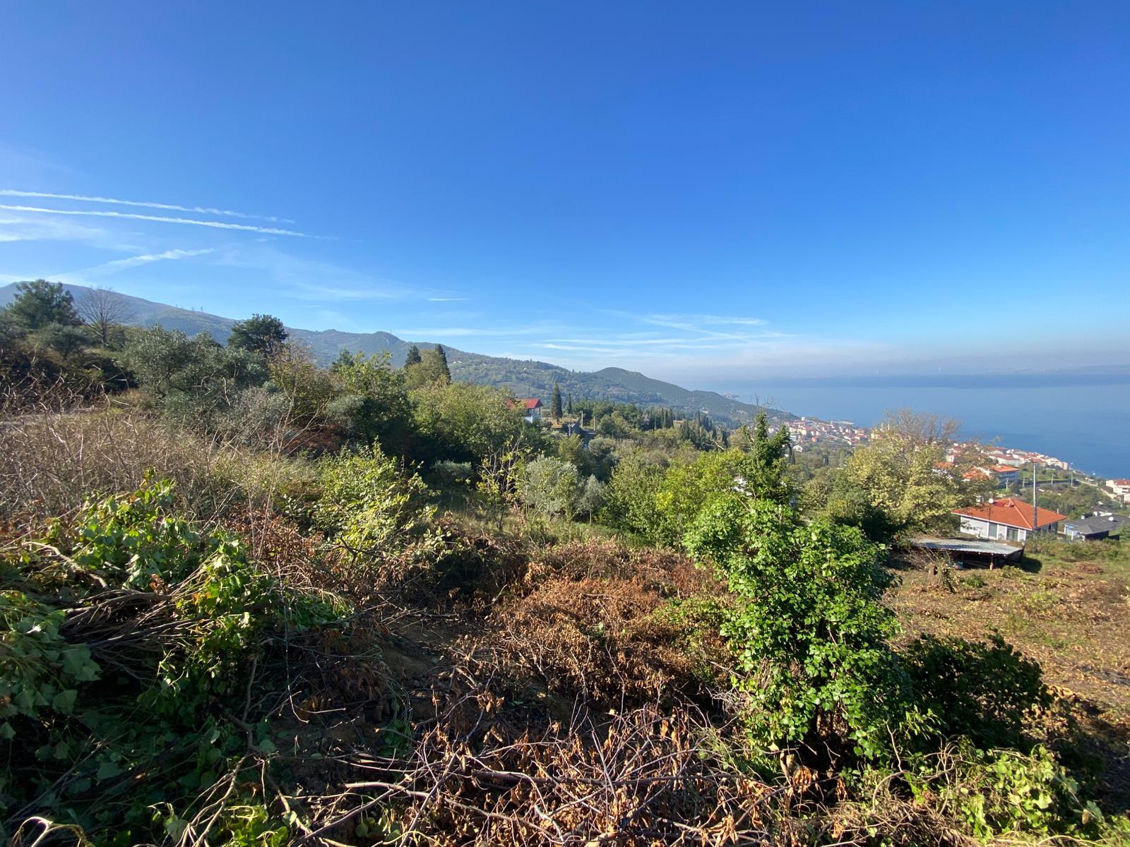 GEBMASTER'DAN GÖLCÜK ULAŞLI'DA VİLLAYA UYGUN SONSUZ DENİZ MANZARALI ARSA