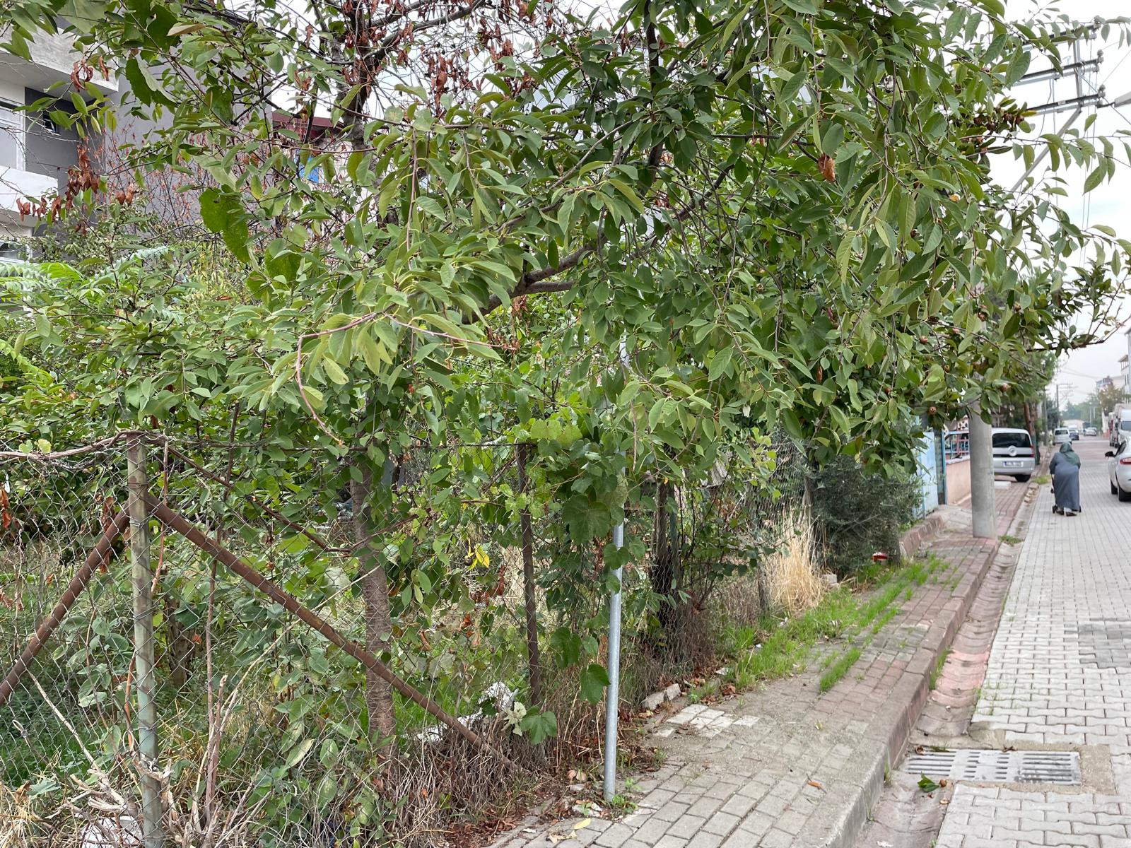 GEBMASTER' dan SANAYİ VE TİCARETİN KALBİNDE 3 KAT İMARLI T3 ARSA