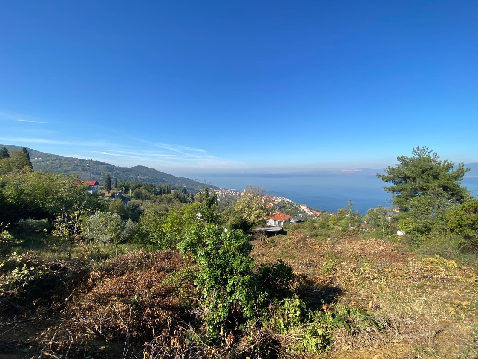 GEBMASTER'DAN GÖLCÜK ULAŞLI'DA VİLLAYA UYGUN SONSUZ DENİZ MANZARALI ARSA