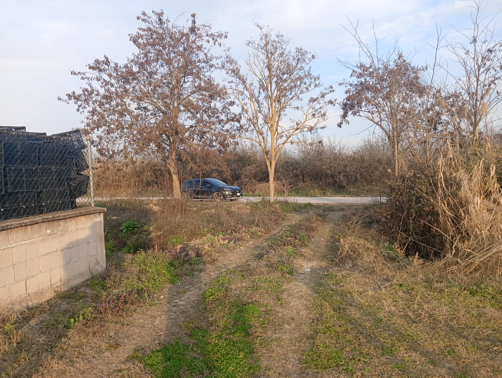 GEBMASTER'DAN PAMUKOVA FEVZİYE'DE MÜKEMMEL KONUMDA KUPON ÜZÜM BAĞI