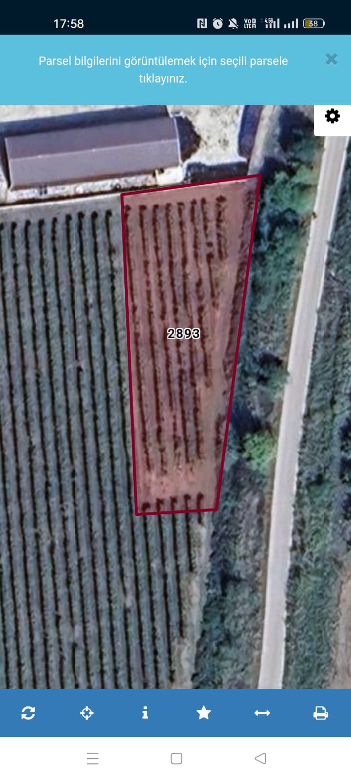 GEBMASTER'DAN PAMUKOVA FEVZİYE'DE MÜKEMMEL KONUMDA KUPON ÜZÜM BAĞI