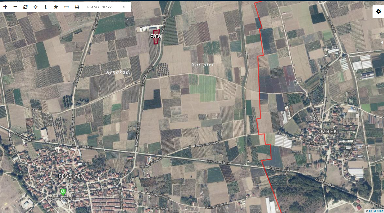 GEBMASTER'DAN PAMUKOVA FEVZİYE'DE MÜKEMMEL KONUMDA KUPON ÜZÜM BAĞI