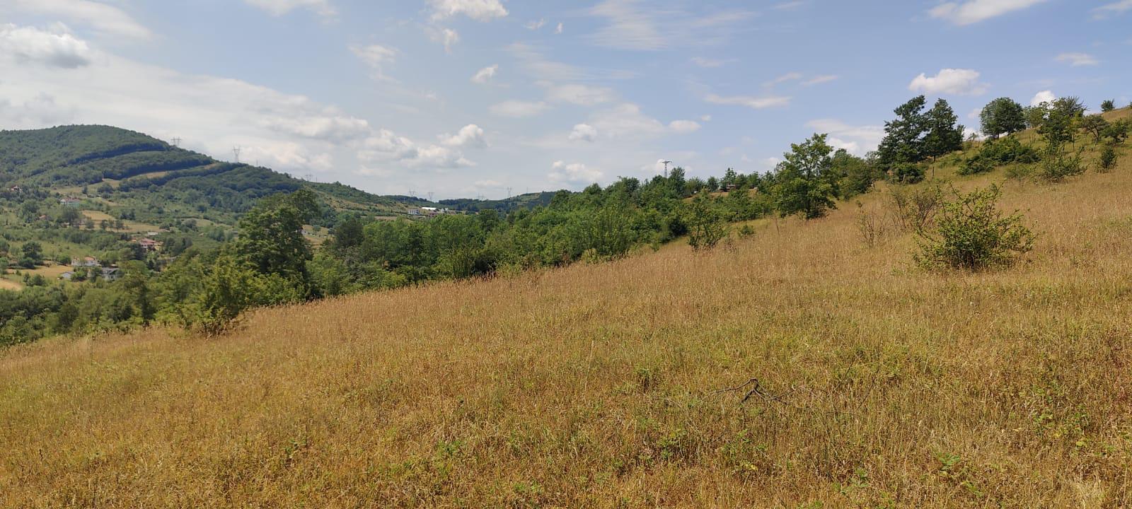 "GEBMASTER" den Hendek Mükemmel Konumda Satılık Tarla