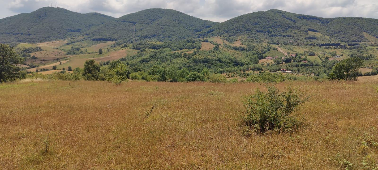 "GEBMASTER" den Hendek Mükemmel Konumda Satılık Tarla